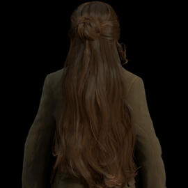 Long Bun Hair